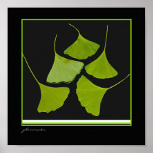 Copie de Gingko Affiche