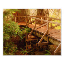 Copie de la paix 8x10 photographie d’art
