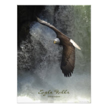 Copie de photo d'animal sauvage d'Eagle chauve Rap