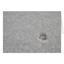 copie de pied dans la neige de tne carte de vœux