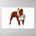 Copie de Pitbull Affiche