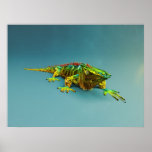 Copie de Polyguana Poster