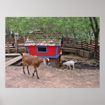 Copie de promenade de Wildernes Affiche