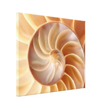 Copie de toile d'art de Shell de Nautilus de plage Toiles Tendues