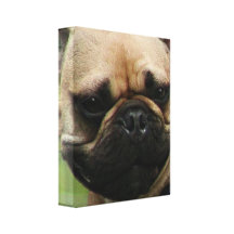 Copie de toile de bouledogue français toiles tendues