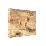 copie de toile de chien de boxeur impressions sur toile