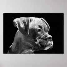 Copie de toile de chiot de boxeur affiches