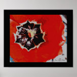 Copie de toile des tulipes rouges posters
