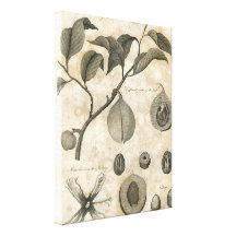 Copie de toile enveloppée par cru botanique d'arbr impression sur toile