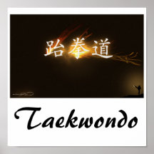 Copie du Taekwondo Posters