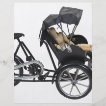 Copie EnergyEfficientRickshaw112709 Prospectus En Couleur