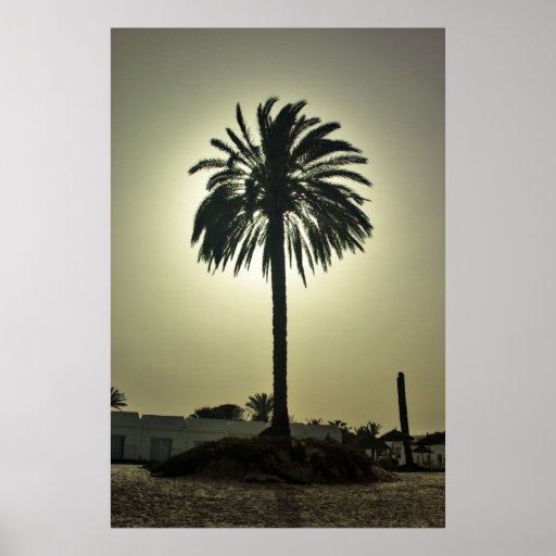 Copie ensoleillée de paume posters
