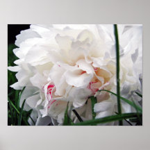 Copie florale blanche de toile de peinture affiches