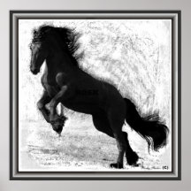 Copie frisonne de puissance posters