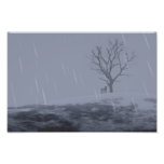Copie froide de la photo de l'hiver
