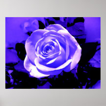 Copie lumineuse d'affiche de tête de fleur de rose