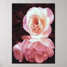 Copie rose de toile affiche