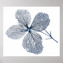 Copie squelettique de ~ de fleur posters