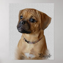 Copies d'art de Puggle Posters