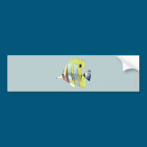 Copper-banded Butterfly Fish bumper stickers