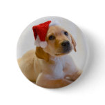 "Copper" says Merry Christmas! Pinback Buttons