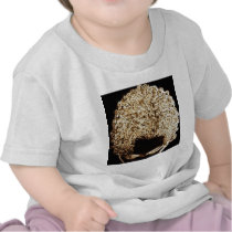 Coppertop T Shirts