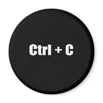 Copy - CTRL + C
