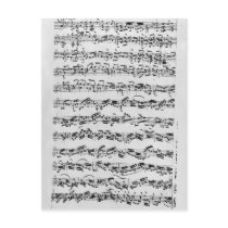 Copy of 'Partita in D Minor for Violin' Postcards