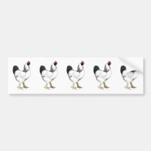 Coq léger de Brahma - poulet vintage élégant Autocollant Pour Voiture