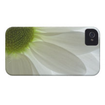 Coque-Compagnon de l'iPhone 4 de pétales de margue Coques iPhone 4