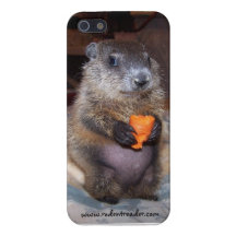 Coque iphone de Groundhog Maude de bébé Coques iPhone 5