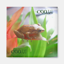COQUI REFRIGERATOR MAGNETS
