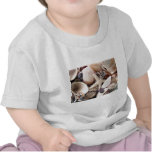 Coquilles de mer par le rivage t-shirts