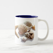 Coquilles de mer tasse