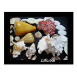 Coquilles de Zanzibar Carte Postale