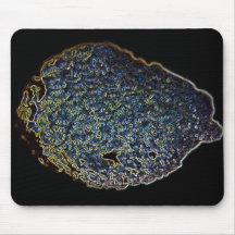 Coquilles sur des coquilles tapis de souris