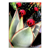 Coral aloe Christmas Greeting Cards