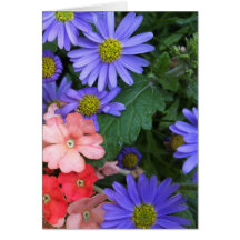Coral and Blue Flowers Greeting Card