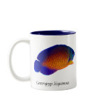 Coral Beauty Angelfish - Centropyge bispinosus Mug