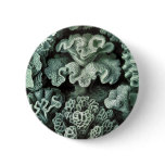 Coral Button