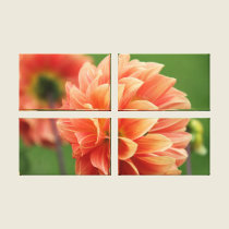 Coral Flower canvas prints