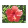 Coral Hibiscus
