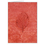 Coral Leaf Fossil cards