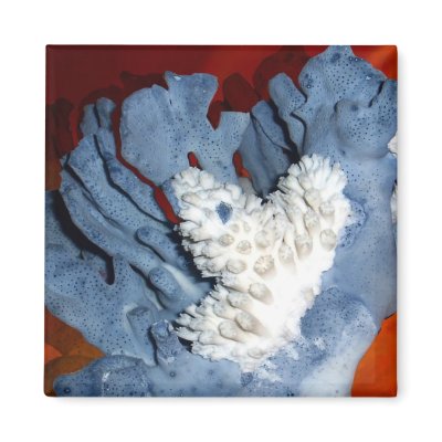Coral magnet by nefera