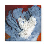 Coral magnet