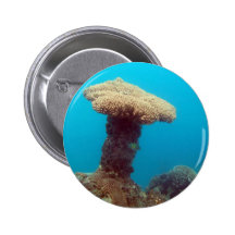 Coral Mushroom Pins