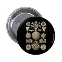 Coral Pin