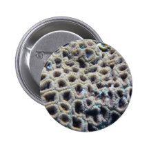 coral pinback buttons