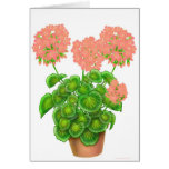 Coral Pink Geranium Flowers Card