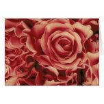 Coral Reds Roses Bouquet, floral, template Greeting Card